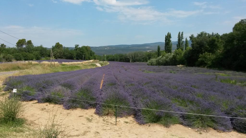 Residence Les Rossignols Roussillon en Isere 외부 사진